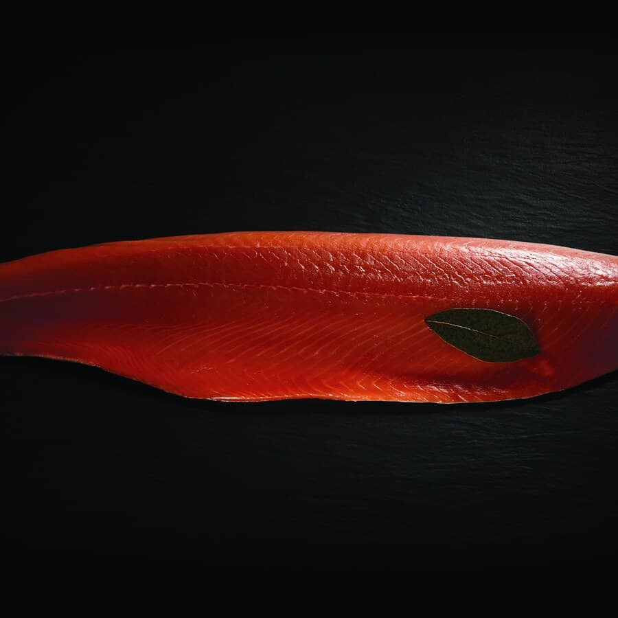 Esplora il salmone