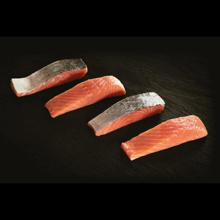 Upstream Puro fresh salmon bars 200 g x 25 pcs