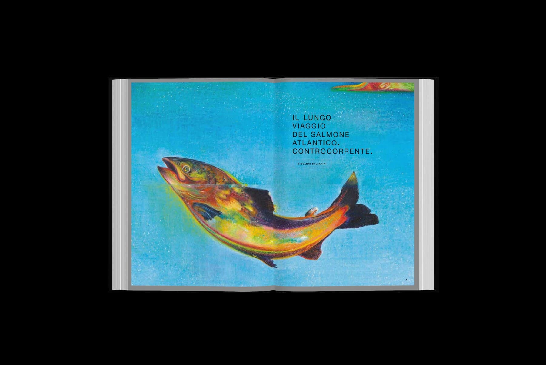 Il lungo viaggio del salmone atlantico. Controcorrente.